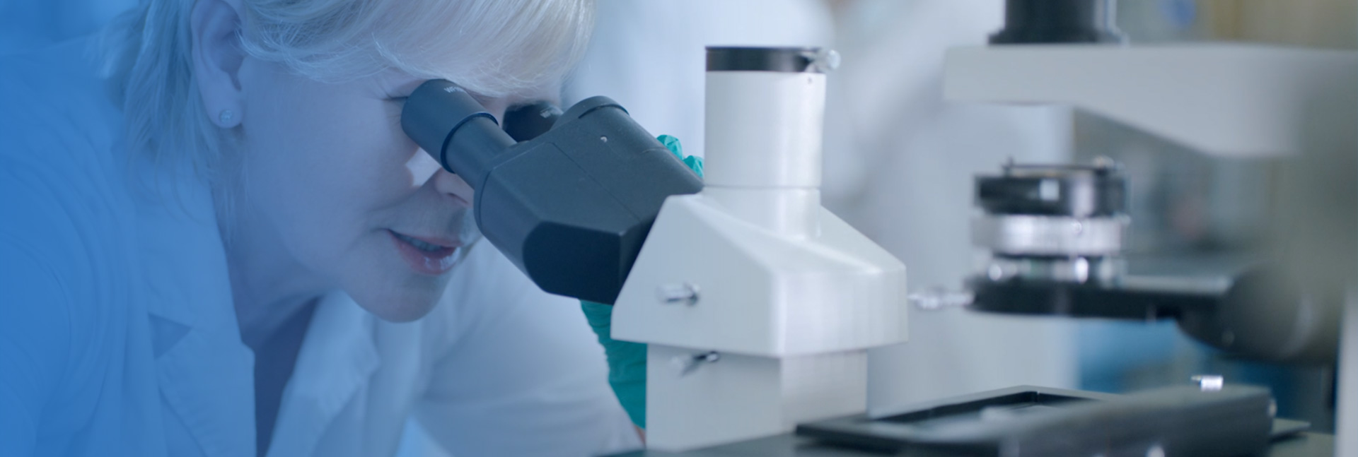 K8���� - ����Ӯ�ҡ�һ������