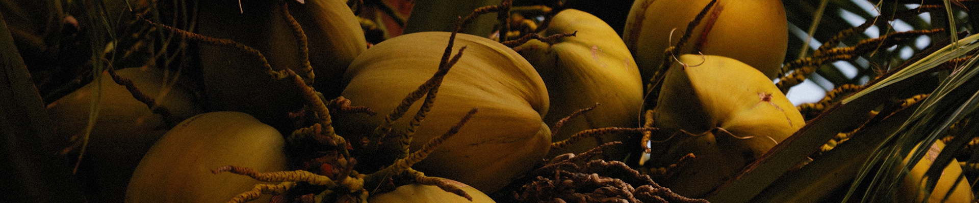 K8���� - ����Ӯ�ҡ�һ������