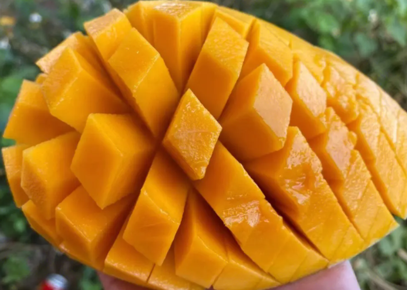 1697438634333991.png ΢ÐŽØÍ¼_20230803142823.png