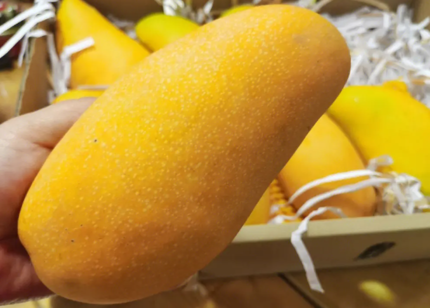 1697438671307462.png ΢ÐŽØÍ¼_20230803143027.png