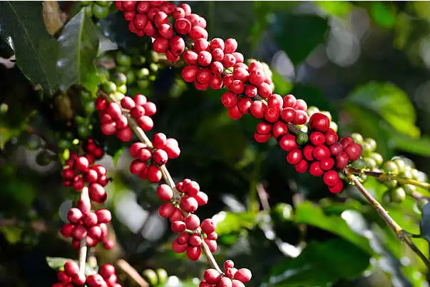 1697439531834569.png ΢ÐŽØÍ¼_20230818103858.png