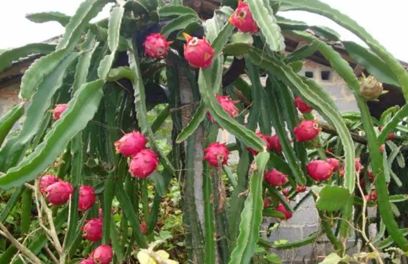 1697439785997302.png 微信截图_20230821114339.png