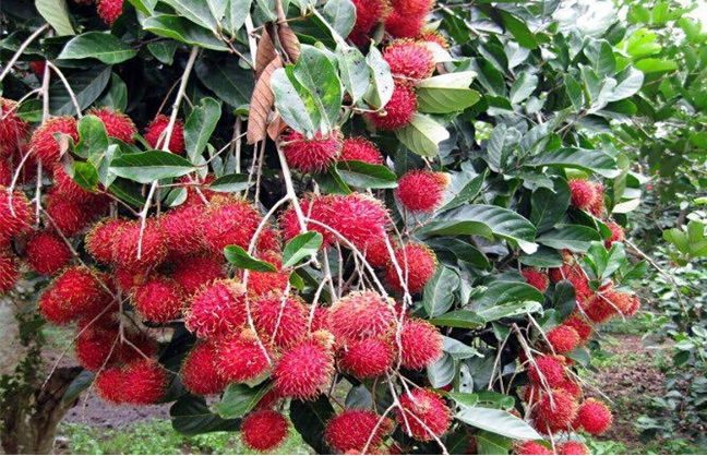 1697440243777888.png ΢ÐŽØÍ¼_20230823151625.png