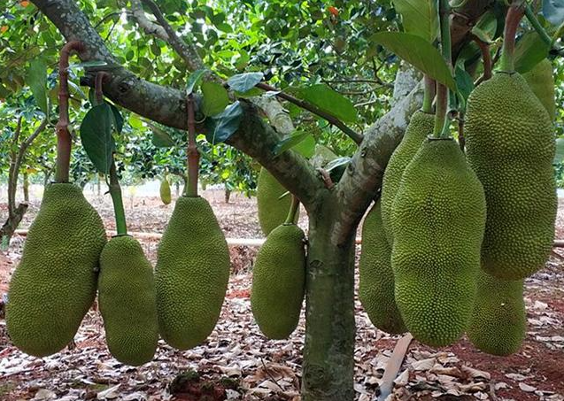 1697441309119622.png ΢ÐŽØÍ¼_20230808142832.png