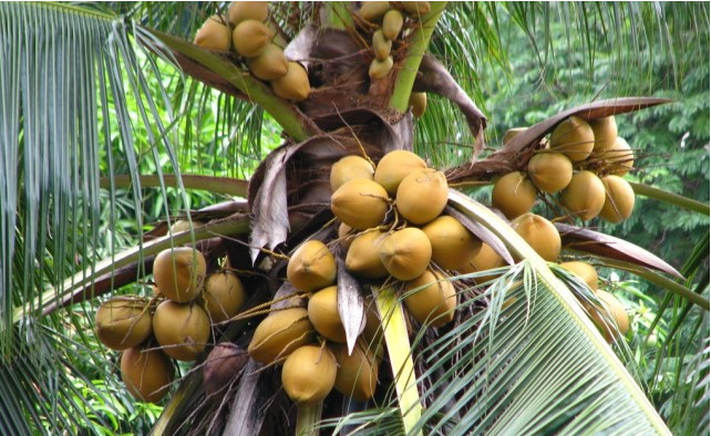 1697442207200650.png ΢ÐŽØÍ¼_20230817143309.png