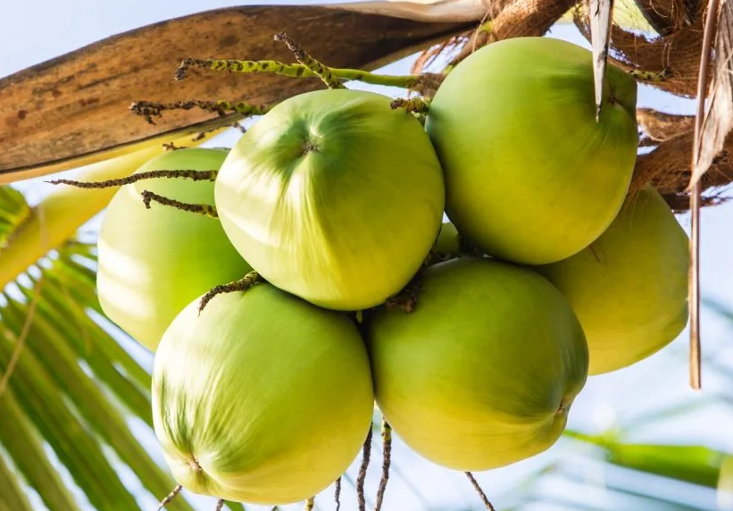 1697442223290925.png ΢ÐŽØÍ¼_20230817143337.png