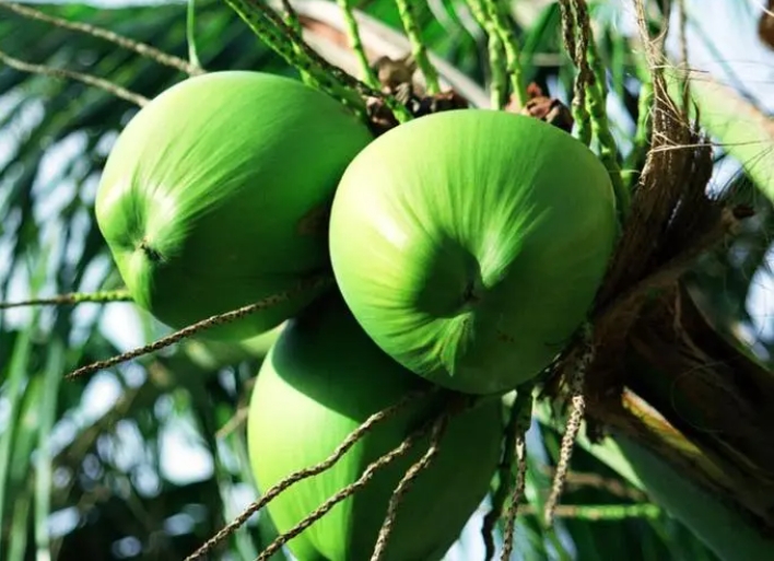 1697792120720128.png ΢ÐŽØÍ¼_20231020144836.png