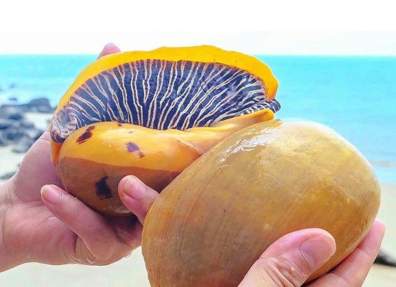 1699426011381100.png ΢ÐŽØÍ¼_20231101153042.png