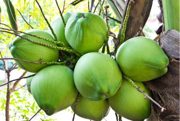 1699517265643354.png ΢ÐŽØÍ¼_20231101145023.png