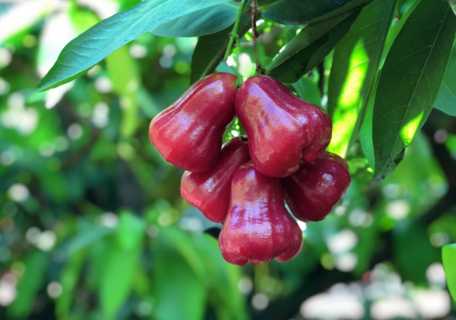 1699517290504184.png ΢ÐŽØÍ¼_20231101145332.png