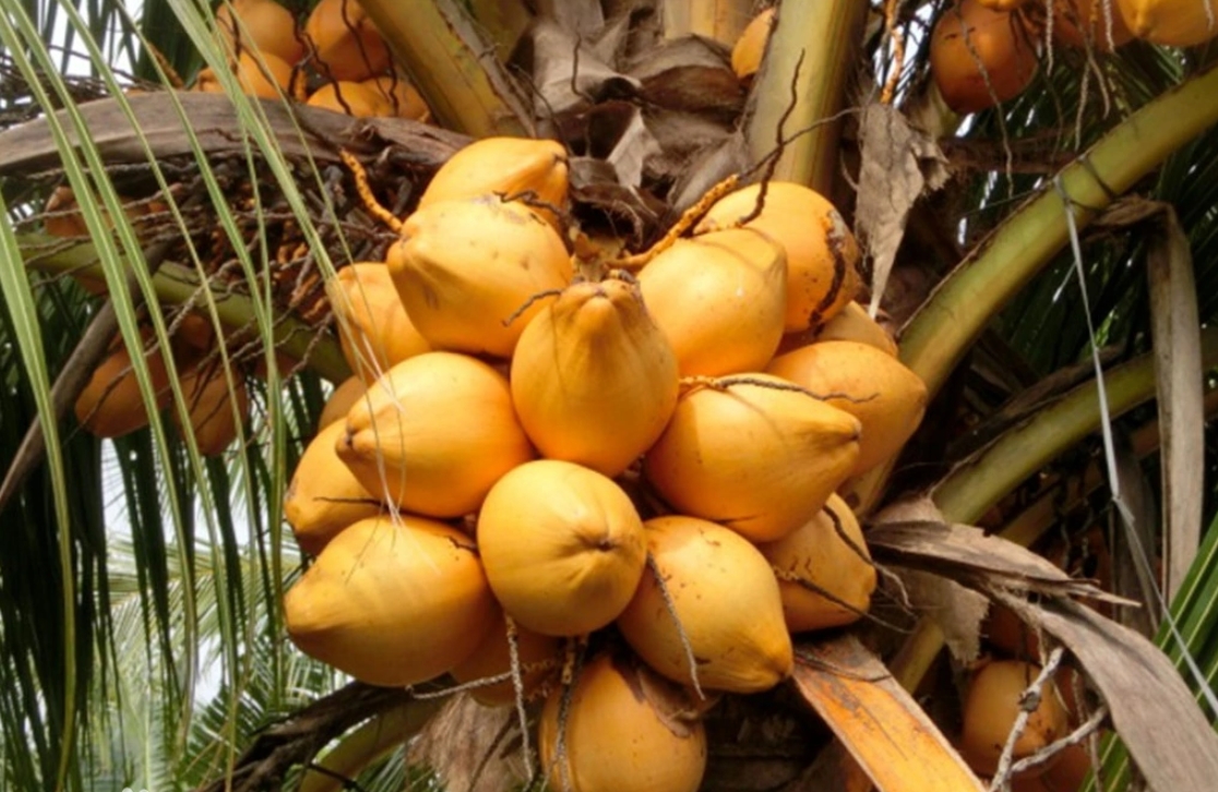 1699856885152670.png ΢ÐŽØÍ¼_20231108113529.png