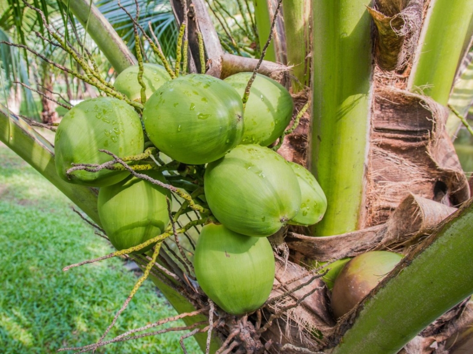 1699856896737348.png ΢ÐŽØÍ¼_20231108113654.png