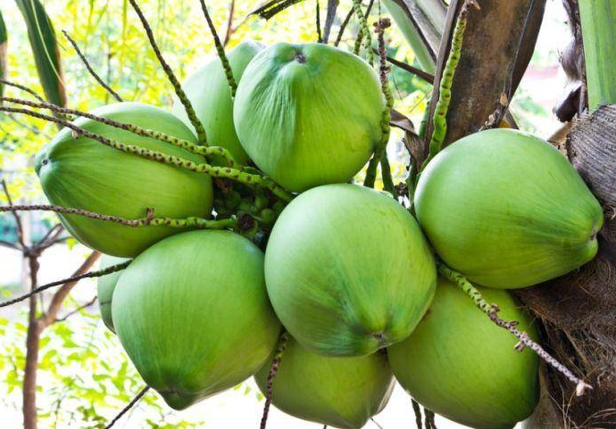 1699857858560360.png 微信截图_20231108153757.png