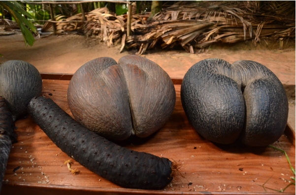 1699943931310103.png ΢ÐŽØÍ¼_20231109143834.png