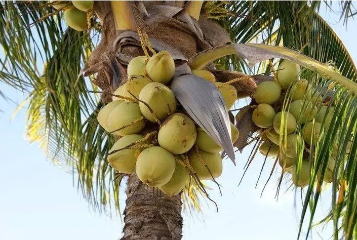 1700203611765316.png ΢ÐŽØÍ¼_20231115152354.png