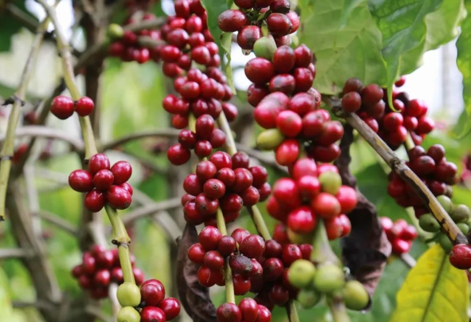 1701661499862950.png ΢ÐŽØÍ¼_20231122150244.png