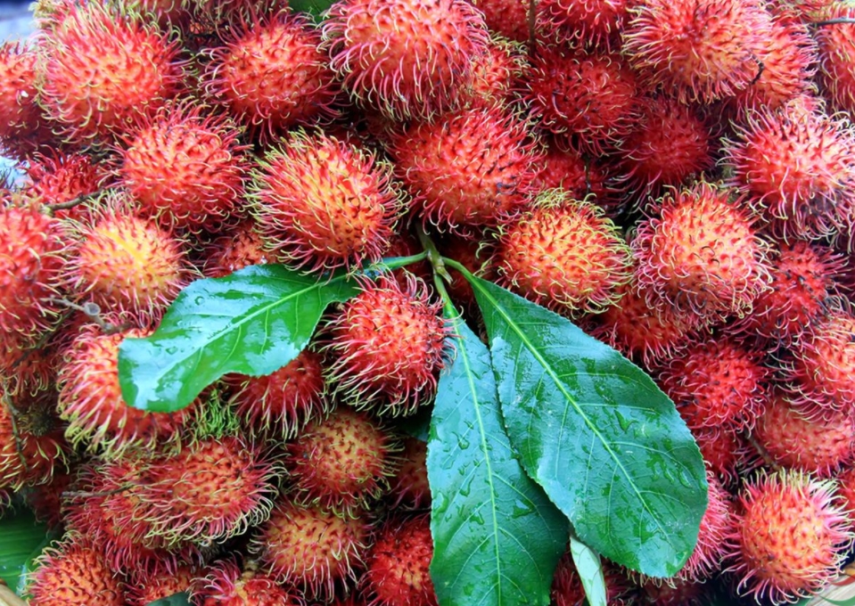 1701929977539034.png 微信截图_20231204162114.png