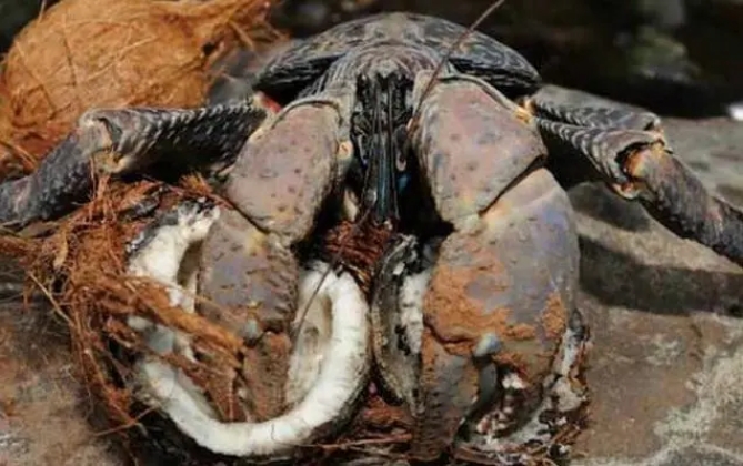 1703473569610695.png ΢ÐŽØÍ¼_20231220153449.png