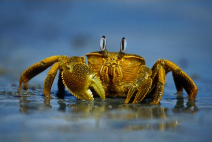 1704435275425349.png ΢ÐŽØÍ¼_20240103162935.png