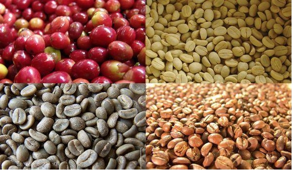 1704877834644721.png ΢ÐŽØÍ¼_20240108152050.png