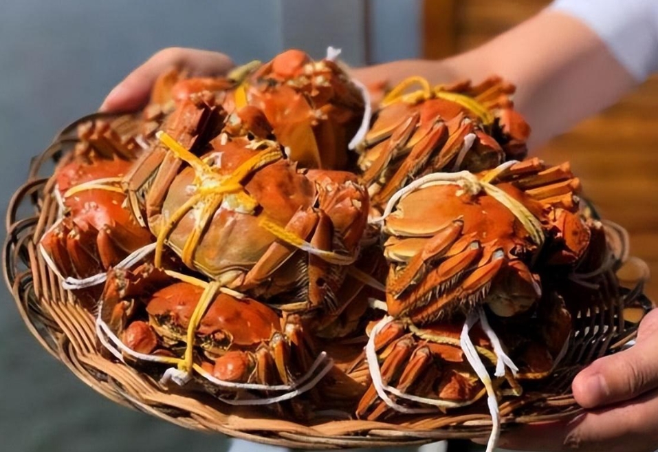 1706084278332866.png ΢ÐŽØÍ¼_20240122161923.png