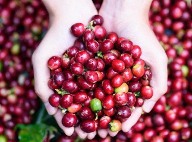 1707029533510823.png 微信截图_20240131162808.png