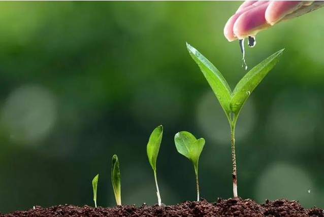 1710229212579442.png ΢ÐŽØÍ¼_20240311095902.png