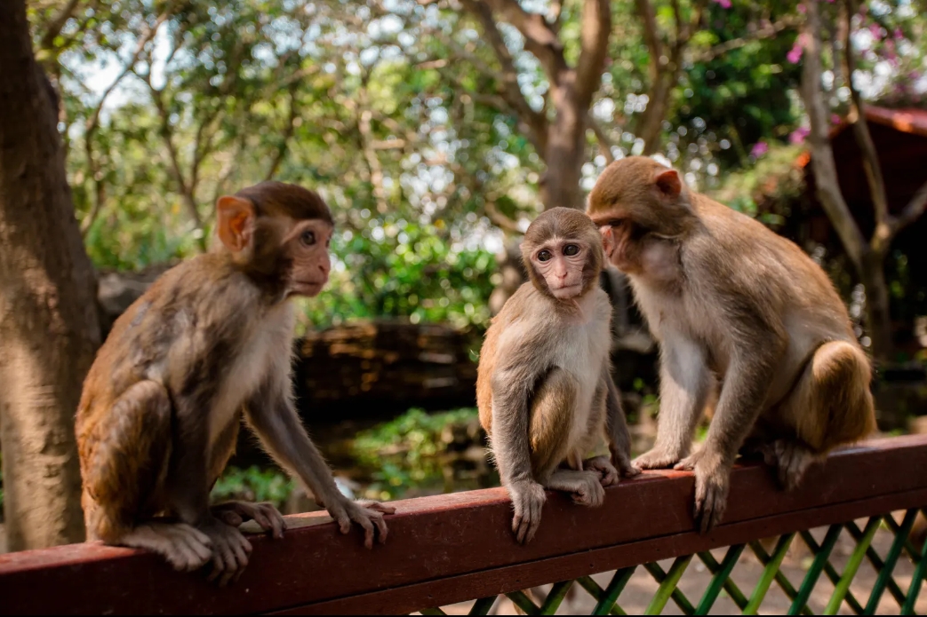 1710751474742693.png ΢ÐŽØÍ¼_20240301150956.png