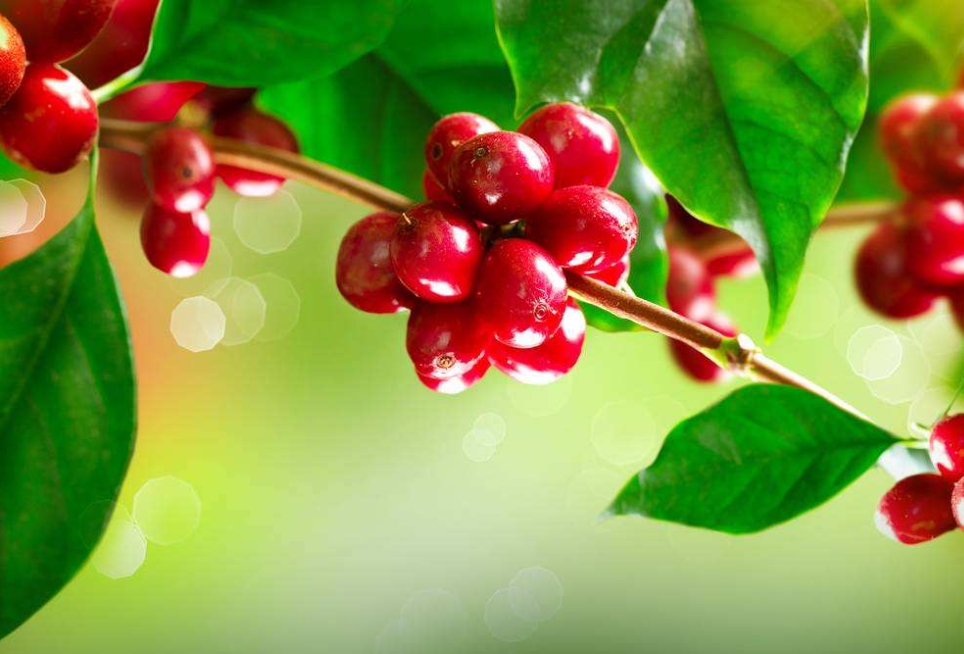 1711011348145128.png ΢ÐŽØÍ¼_20240321143008.png