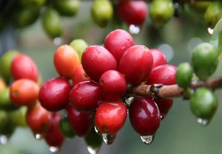 1711011356664479.png ΢ÐŽØÍ¼_20240321143030.png