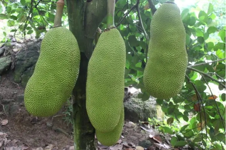 1711076164347627.png ΢ÐŽØÍ¼_20240322101604.png