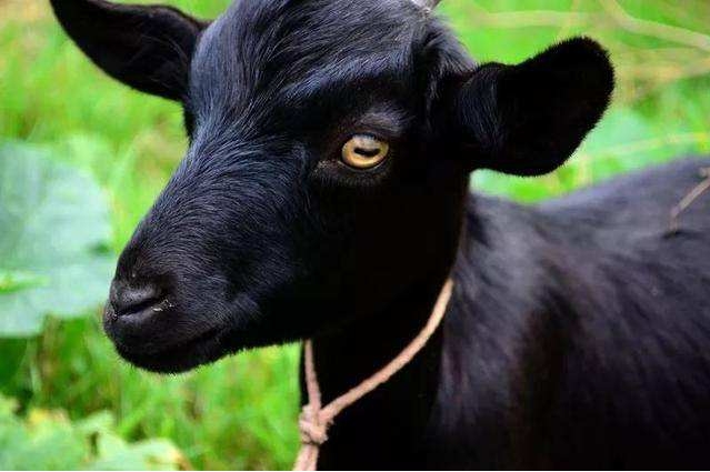 1715234950423859.png ΢ÐŽØÍ¼_20240509094053.png