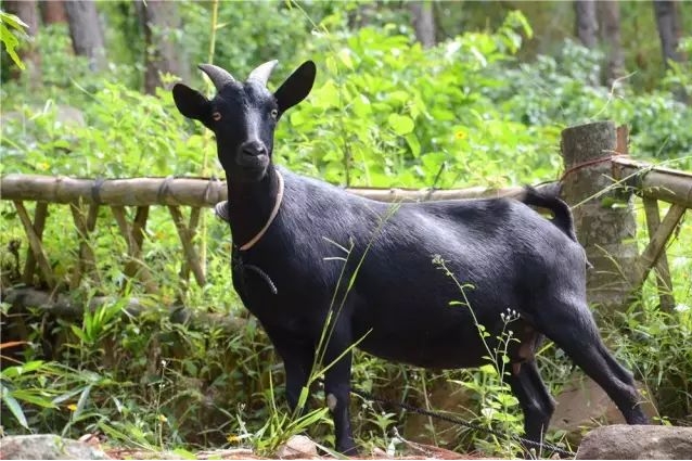 1715234963172023.png ΢ÐŽØÍ¼_20240509094249.png