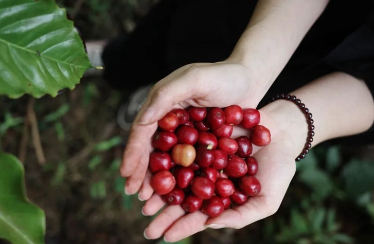 1715328546408380.png ΢ÐŽØÍ¼_20240510102539.png