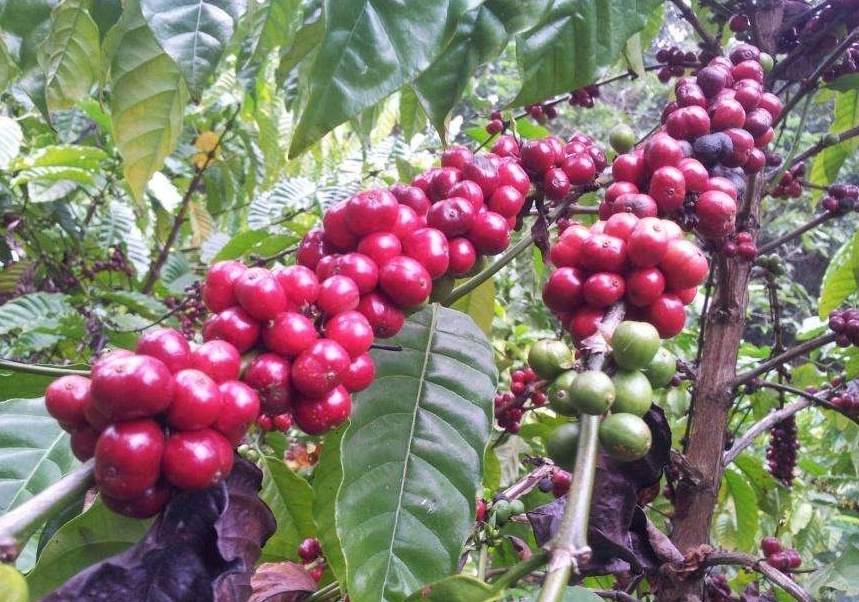 1715328558653130.png ΢ÐŽØÍ¼_20240510102703.png