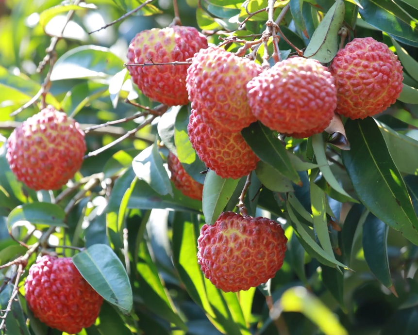 1715930554109101.png ΢ÐŽØÍ¼_20240517145428.png