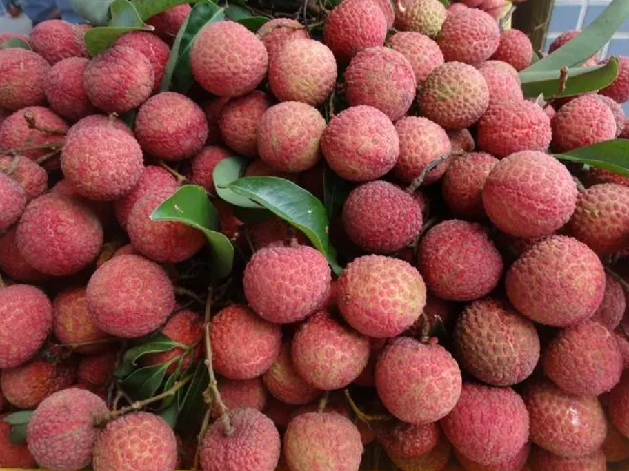 1716002757975019.png ΢ÐŽØÍ¼_20240518110638.png