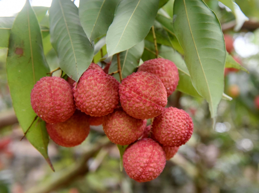 1716002767549947.png ΢ÐŽØÍ¼_20240518110604.png