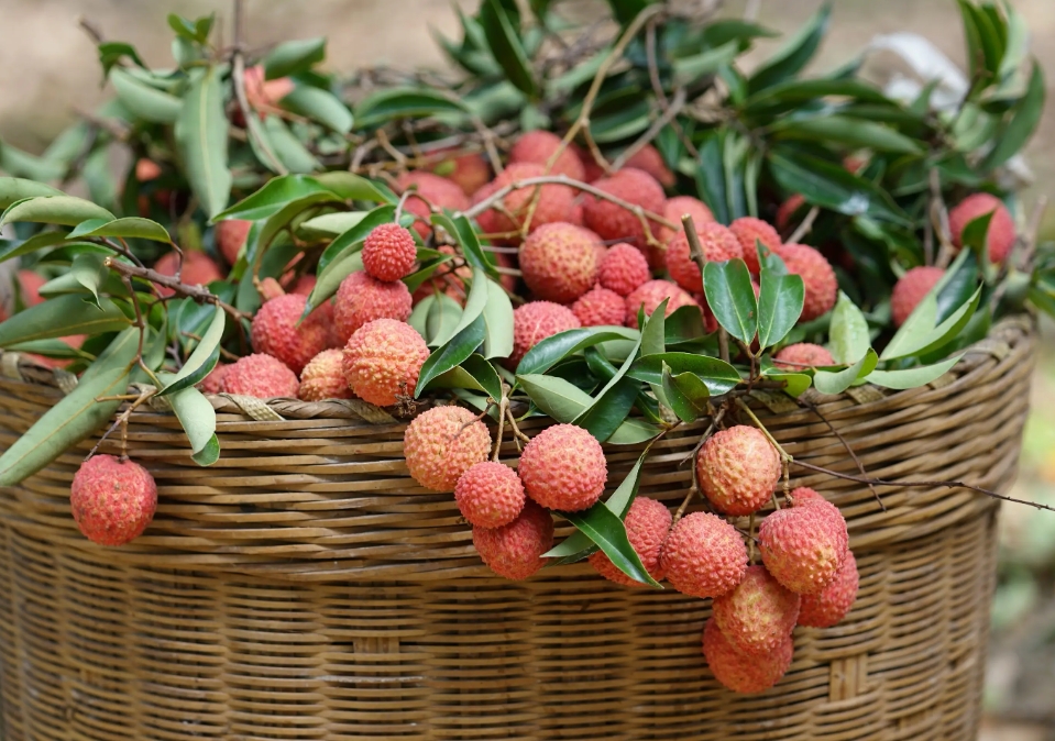 1716002775279762.png ΢ÐŽØÍ¼_20240518110625.png