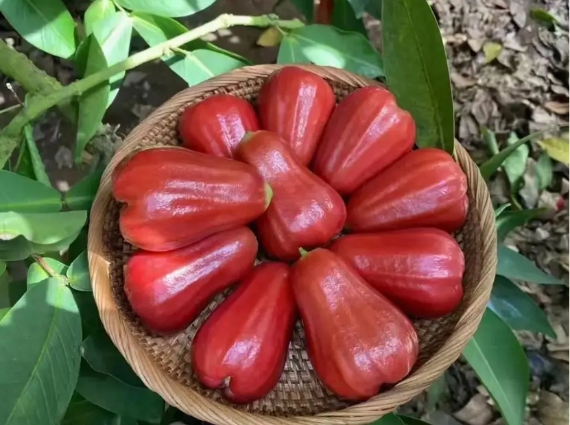 1716189286487354.png ΢ÐŽØÍ¼_20240520145402.png