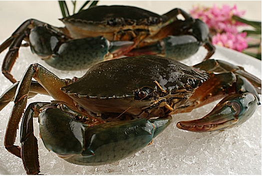 1716271897169613.png ΢ÐŽØÍ¼_20240521113239.png