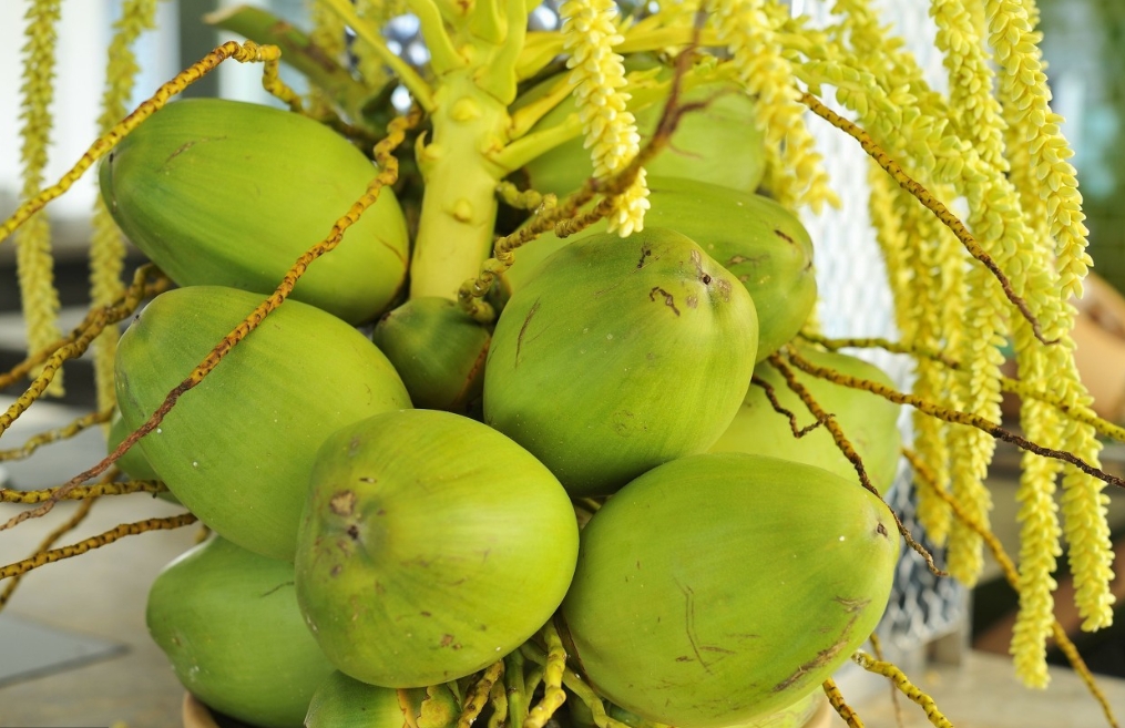 1716793212345308.png ΢ÐŽØÍ¼_20240527111236.png