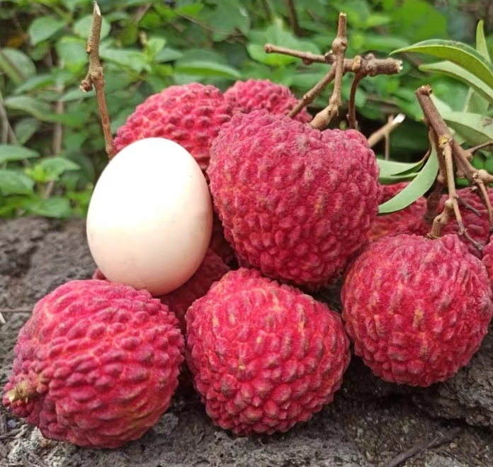 1717481954320241.png ΢ÐŽØÍ¼_20240531151732.png