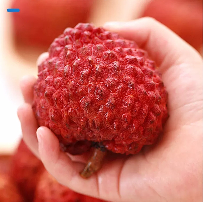 1717481962302486.png ΢ÐŽØÍ¼_20240531151649.png