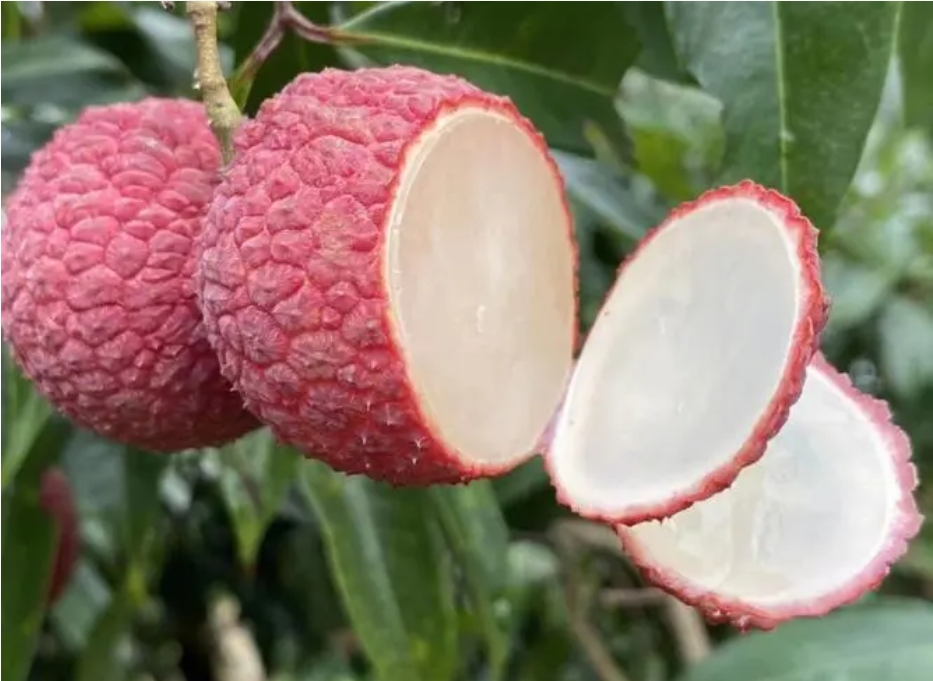 1717656355721027.png ΢ÐŽØÍ¼_20240606141649.png