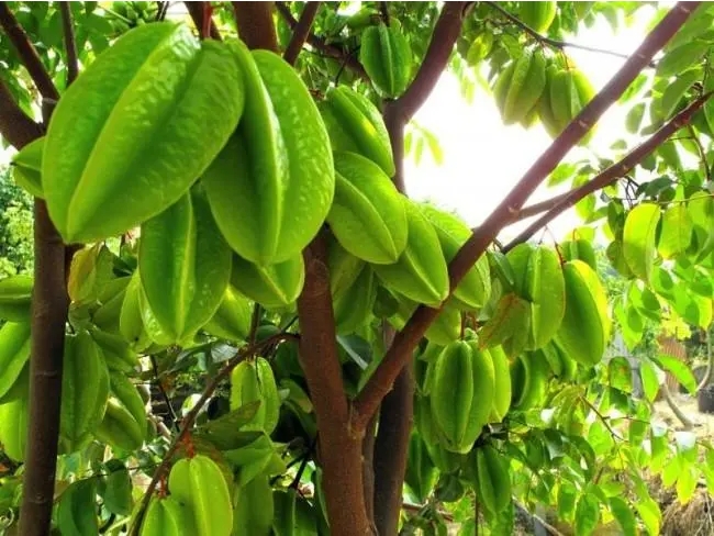 1718613356537386.png ΢ÐŽØÍ¼_20240617160544.png