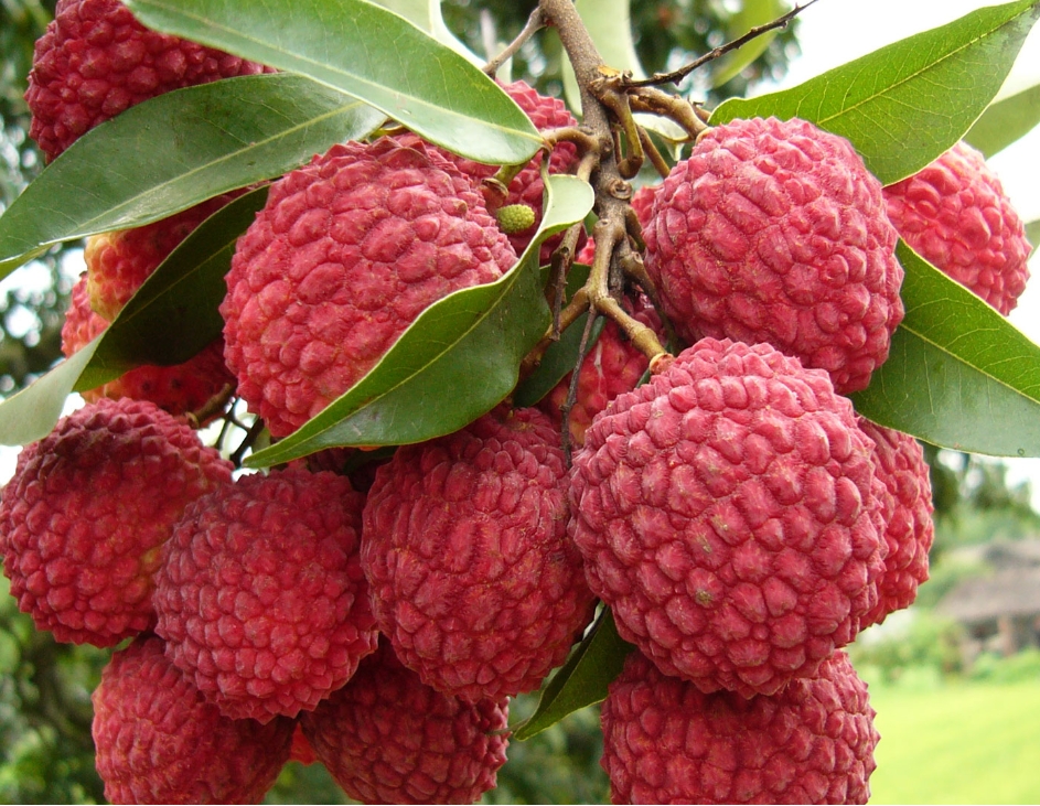 1719388774690509.png ΢ÐŽØÍ¼_20240624170416.png