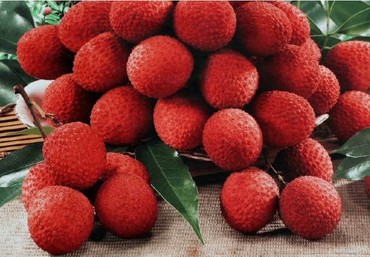 1719388781157586.png ΢ÐŽØÍ¼_20240624170342.png