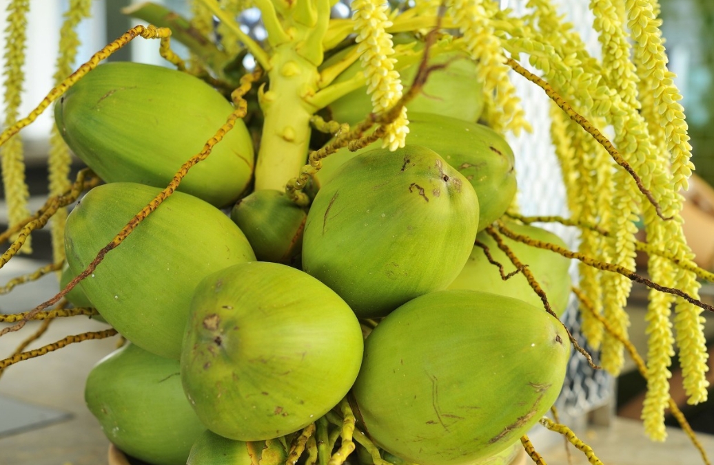 1722408579755387.png ΢ÐŽØÍ¼_20240730154023.png