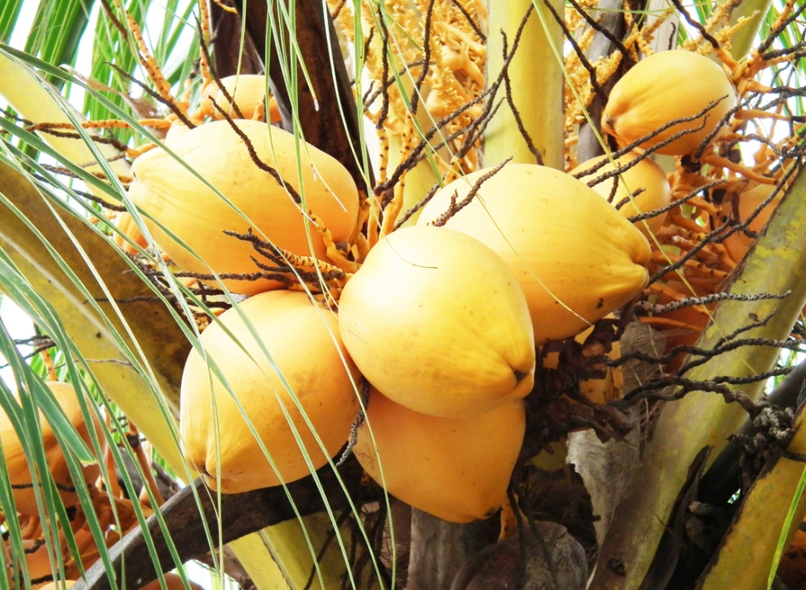 1728456208298092.png ΢ÐŽØÍ¼_20240930152630.png